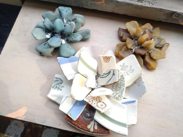 sea pottery succulent echeveria