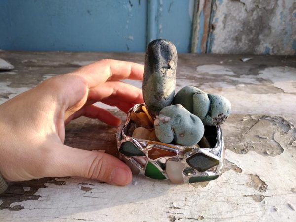 Artificial lithops succulent arrangement, beach-found unique everlasting living stones, slag and sea glass upcycled botanical art - Image 5