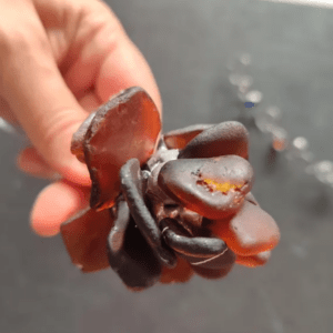 brown sea glass rose