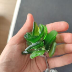 green sea glass rose