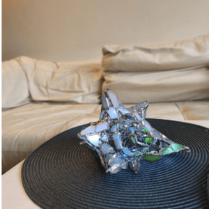 sea glass conch shell